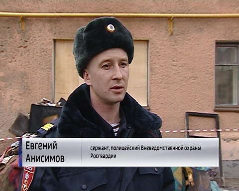 Войска национальной гвардии России отмечают свой профессиональный праздник