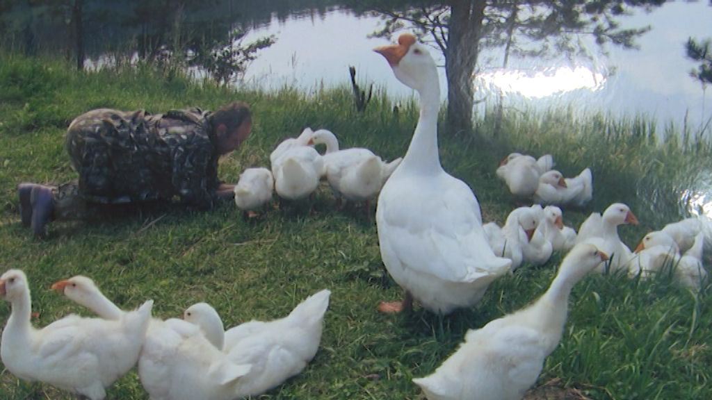 В Кирове открылась выставка 