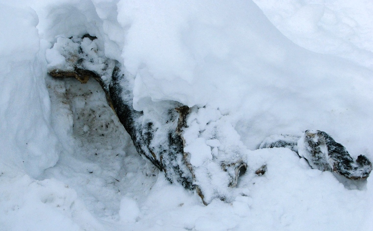 В Кирово-Чепецком районе владелец дома нашел на своем участке тело мужчины.