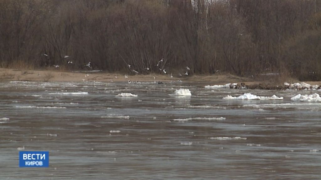 Вести. Киров (Россия-24) 16.04.2019