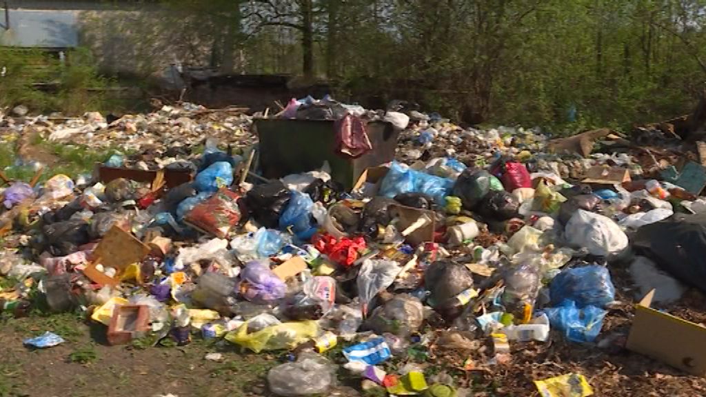 Котельничский Затон буквально утонул в мусоре