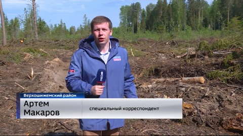 В Верхошижемском районе посадили шесть тысяч саженцев