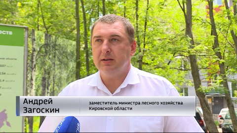 В Верхошижемском районе посадили шесть тысяч саженцев