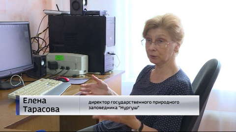 В Нургушском заповеднике продолжается работа по изучению богатого и уникального животного мира