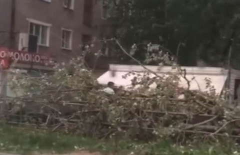 В Кирове шквалистый ветер ломал деревья и срывал вывески.