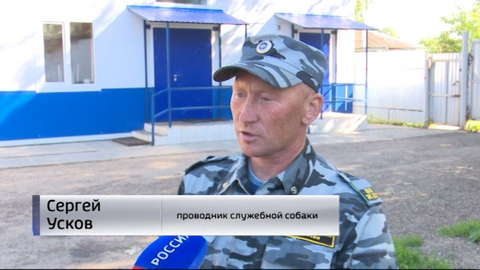 Кировские спасатели успешно выступили на Чемпионате России по служебному собаководству