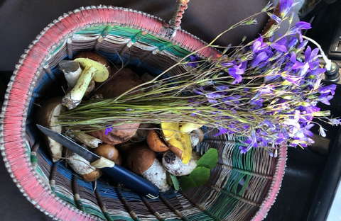 В кировских лесах - "грибное нашествие".