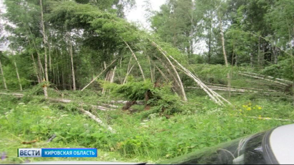 Вести. Кировская область (Россия-1) 05.07.2019