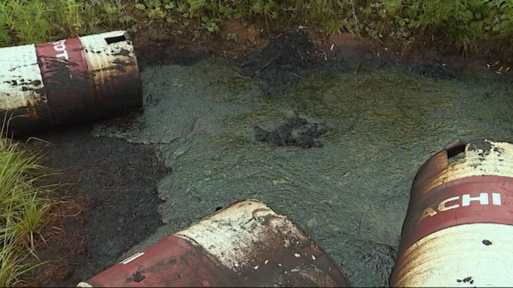 Токсичное болото: под Чепецком неизвестные разлили нефтепродукты.