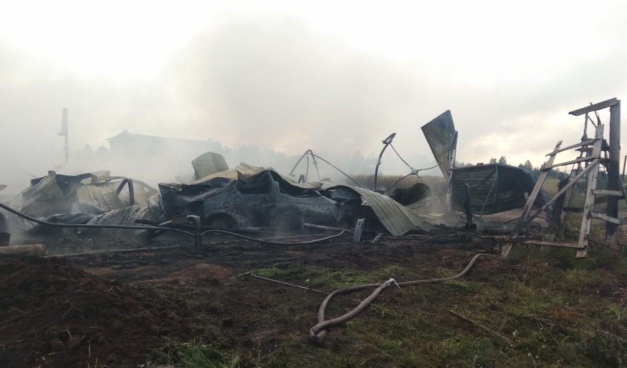 Стала известна предварительная причина пожара в тепличном хозяйстве.