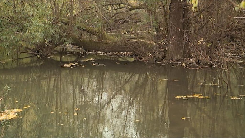 В Кирове очистили от мусора прибрежную зону реки Хлыновки