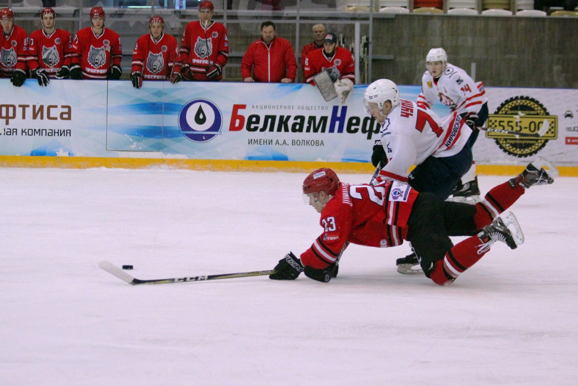 Мхк прогресс глазов. Мхк прогресс глазов. Мхк прогресс. Фанаты хк прогресс глазов шарфы. Мхк прогресс глазов.