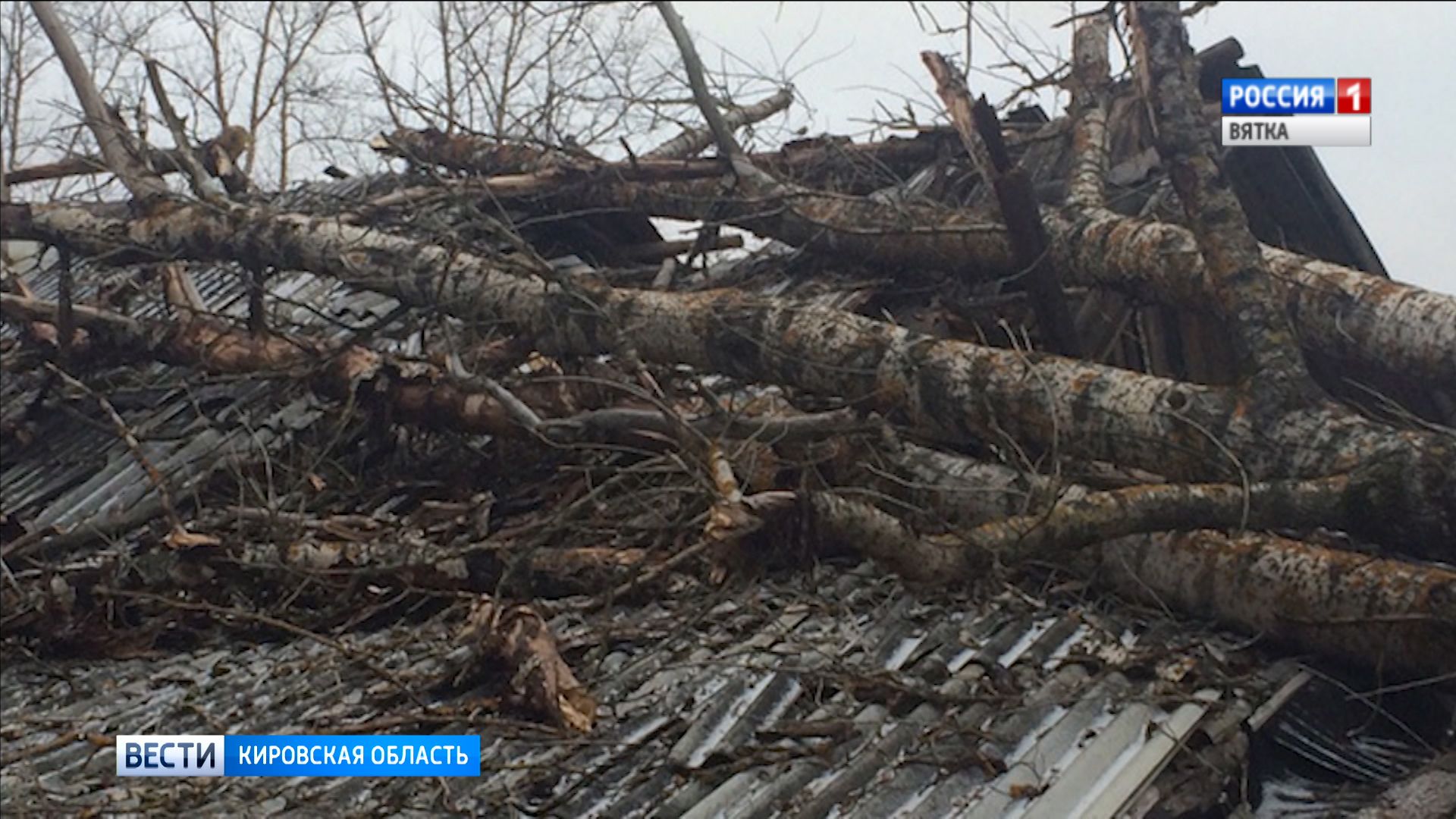 В Кирове подвели итоги последствий от шквалистого ветра