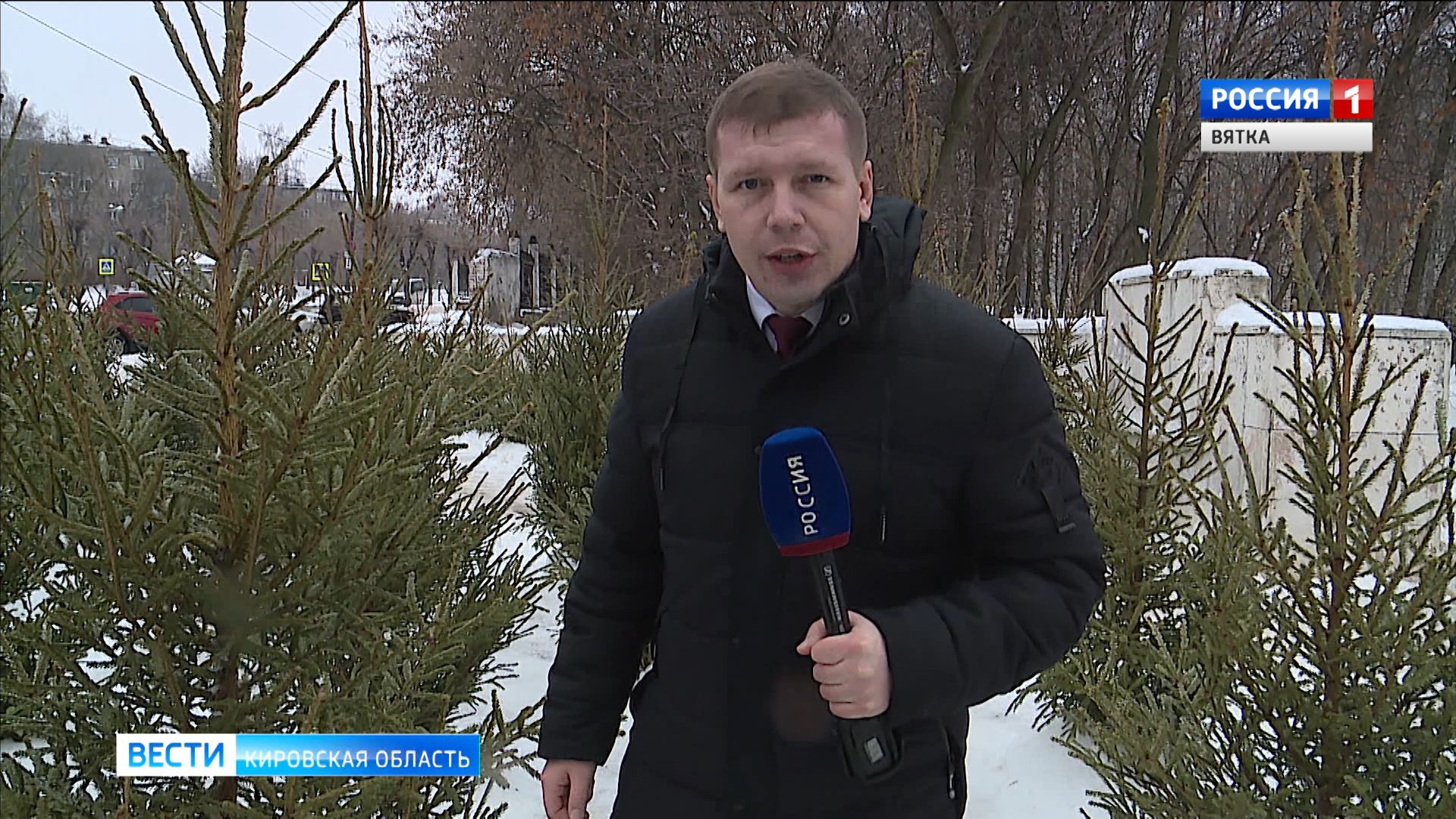 В Кирове продавцы елочных базаров в ожидании предпраздничного ажиотажа