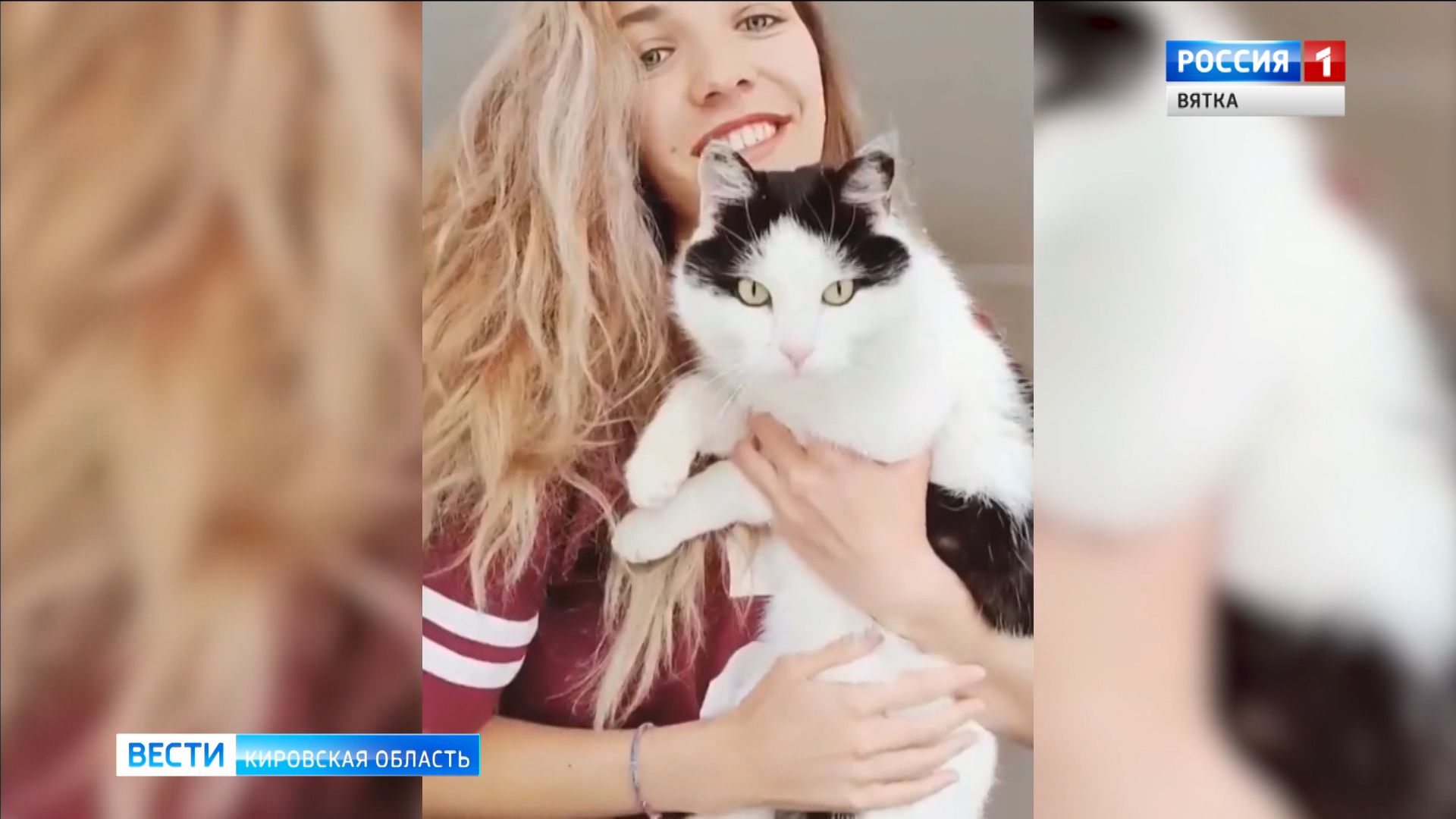 Чем занимаются дома в самоизоляции кировчане