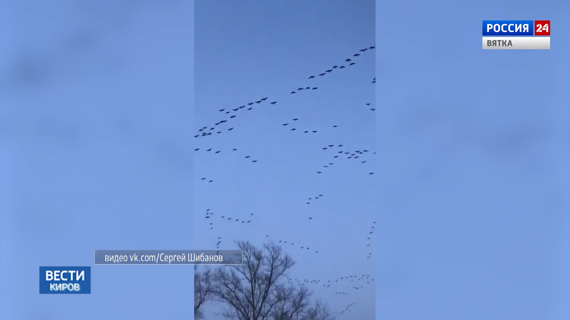 Жители Кировской области засняли редкое по красоте природное явление