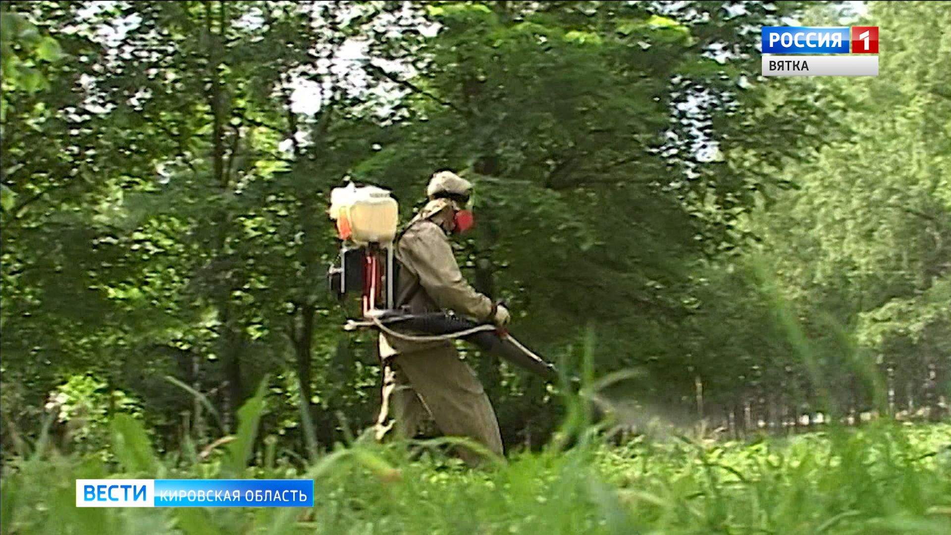 В Кирове началась обработка территорий от клещей