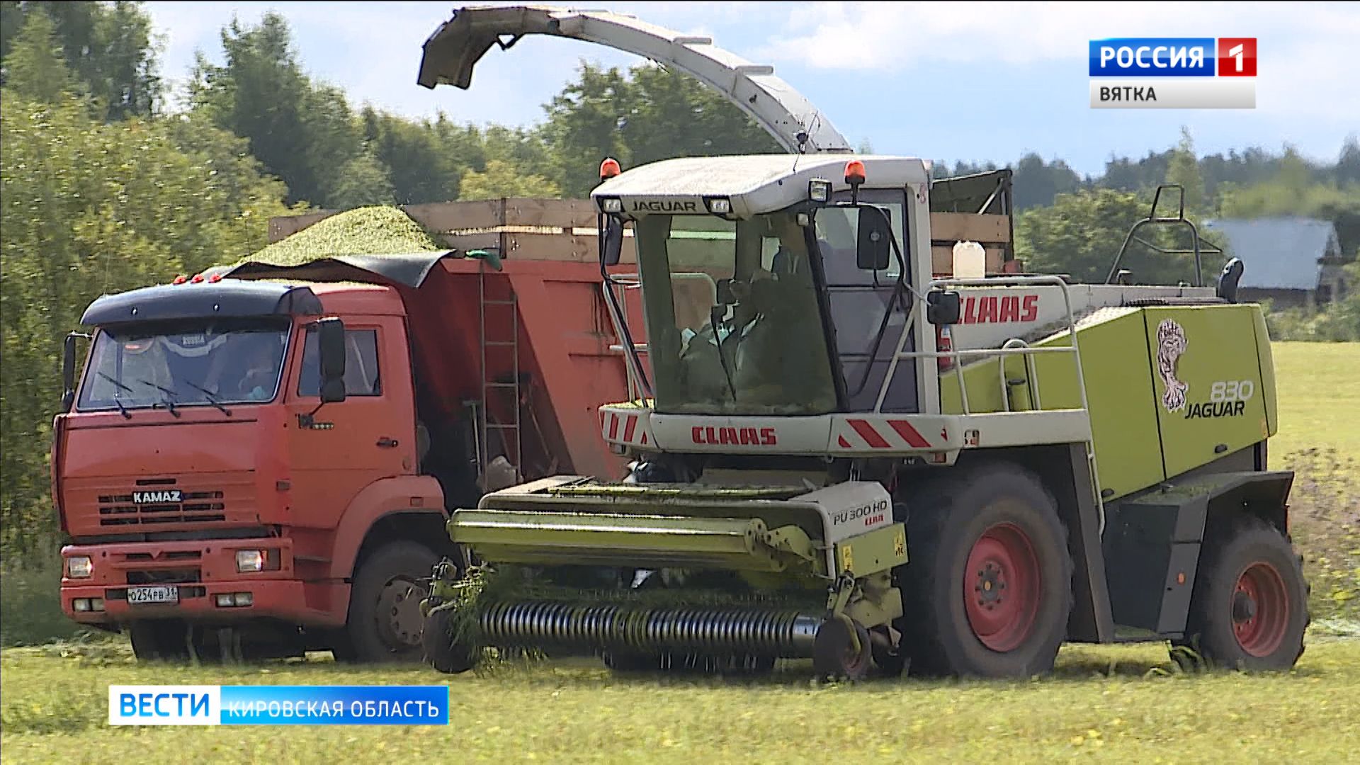 Фермеры Кировской области получат гранты на развитие бизнеса