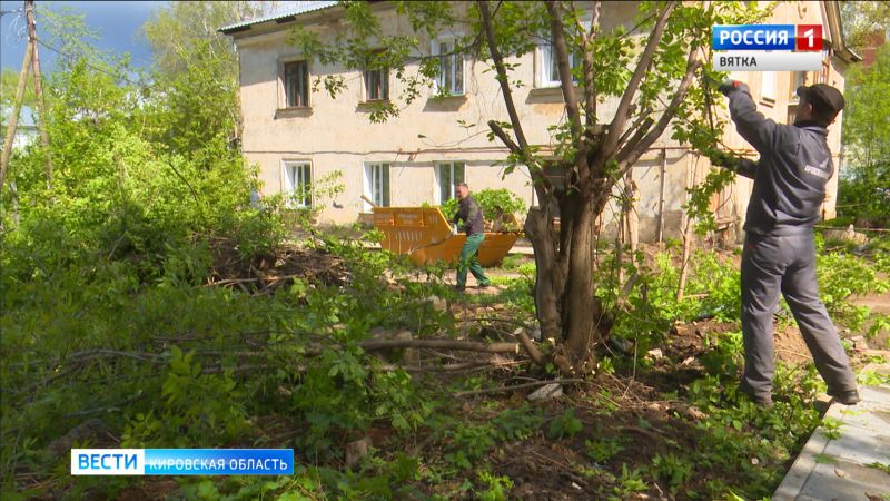 Кировчане вышли на приборку Никитского сквера