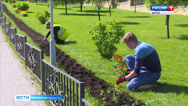 Более 150 тысяч цветов появятся на клумбах города Кирова