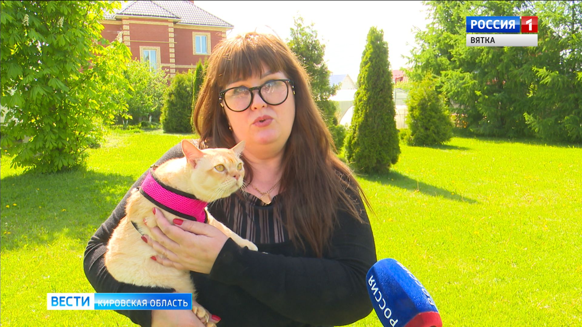 Зоозащитники объяснили необходимость внесения поправки о животных в конституцию