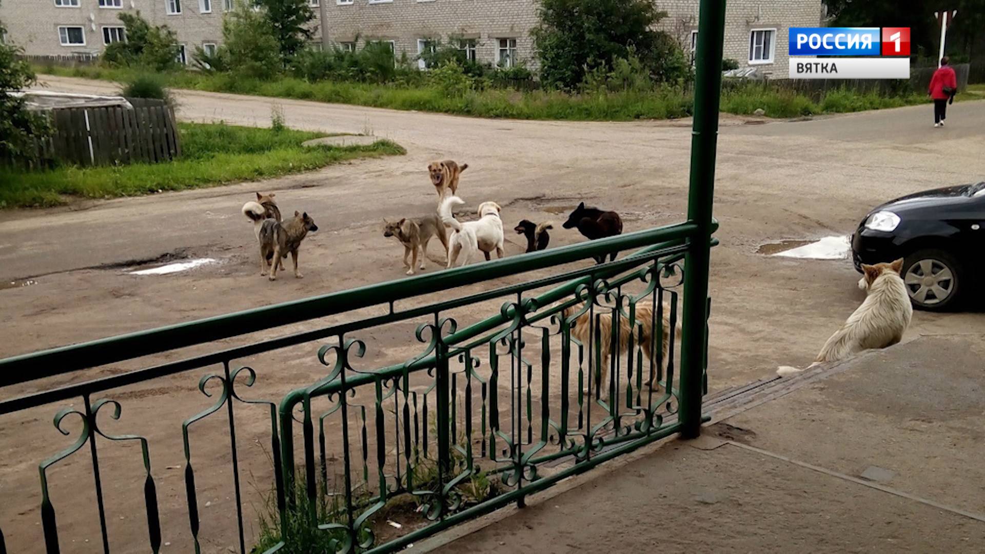 Вести. Кировская область (Россия 1) 23.06.2020