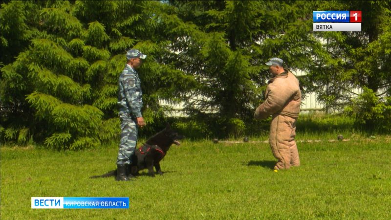 Кинологи отметили свой профессиональный праздник