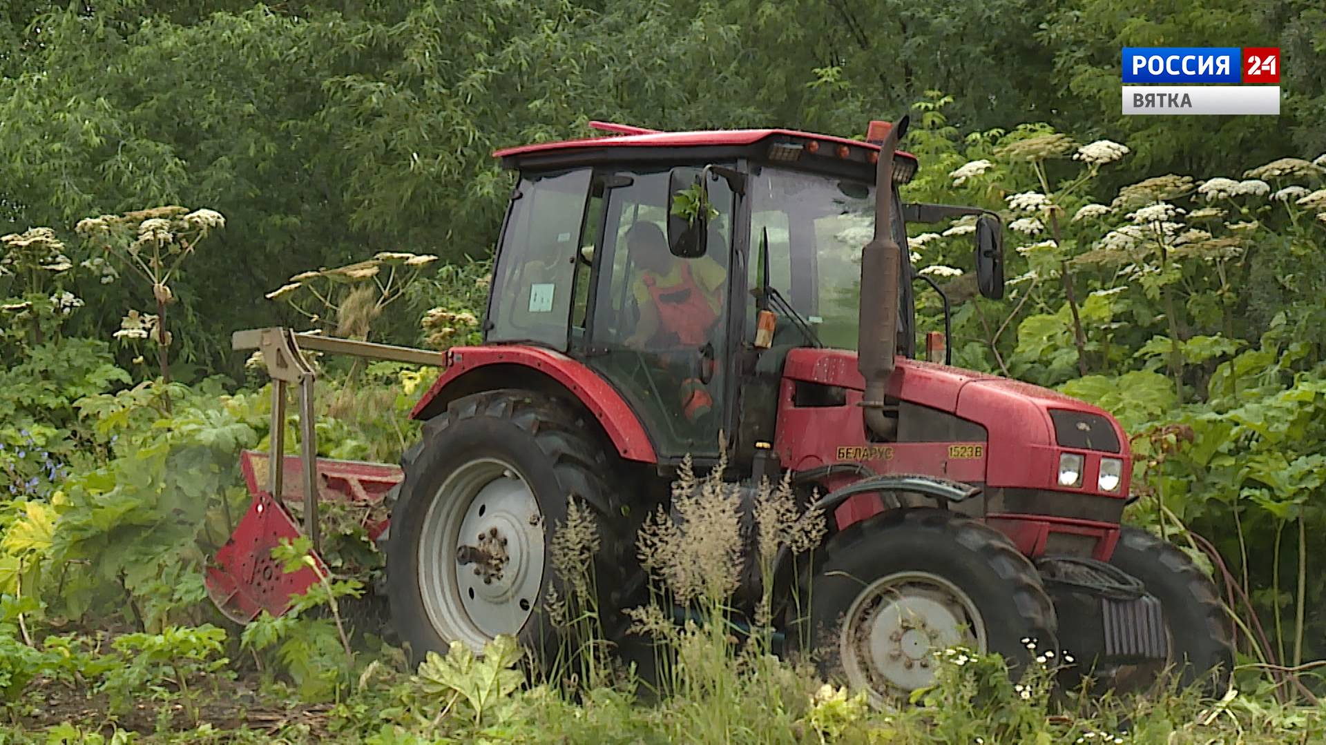 Вести. Киров (Россия 24) 10.07.2020
