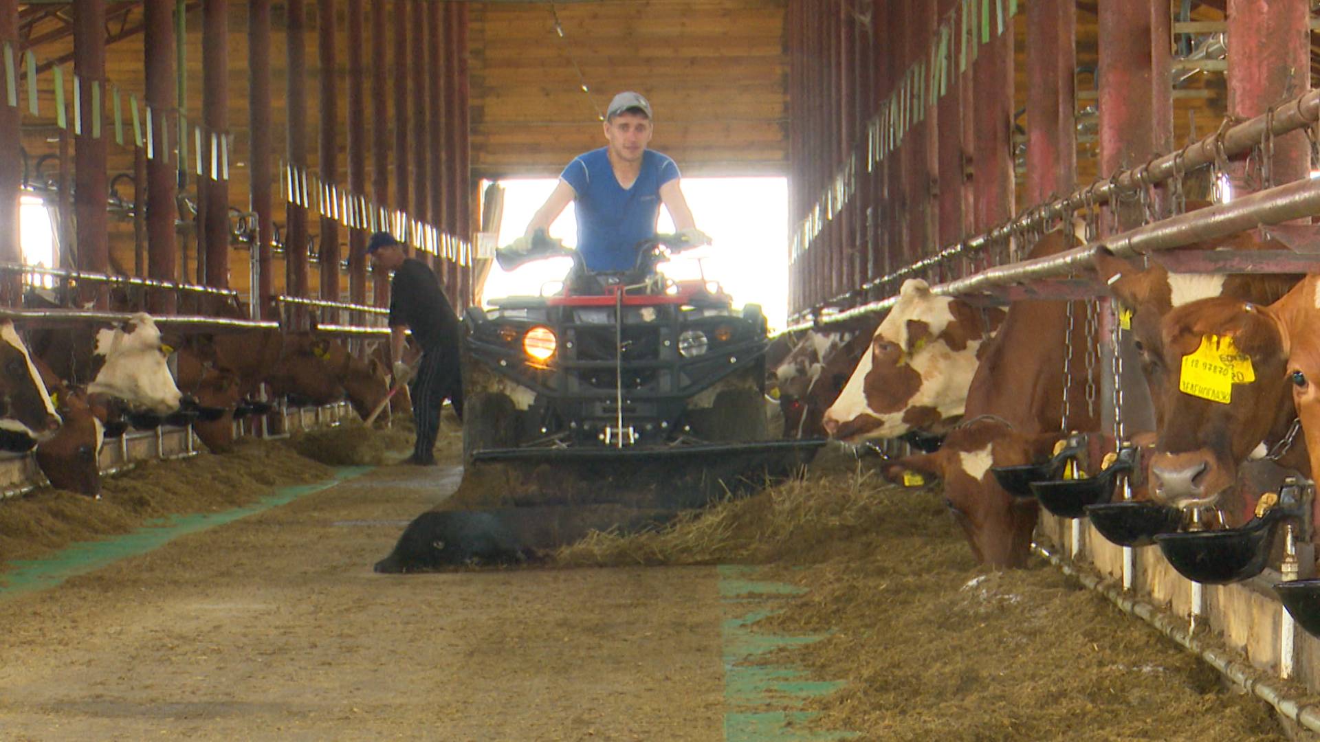 Вести. Агро (16.07.2020)