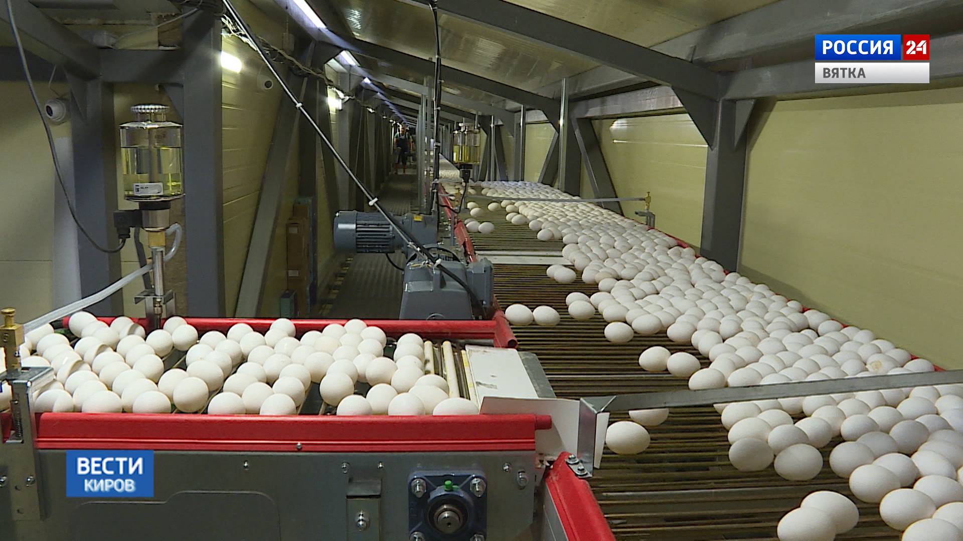 «Советская агрофирма» по инвестпрограмме модернизирует оборудование