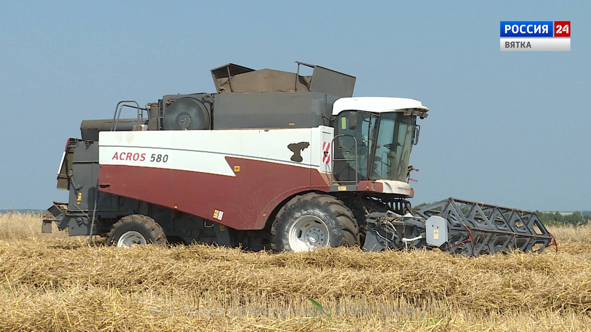 Вести. Агро (13.08.2020)