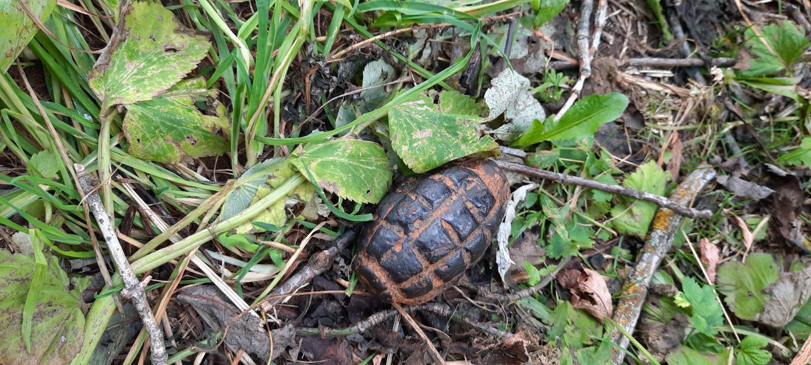 В Нововятске в ходе земляных работ нашли гранату