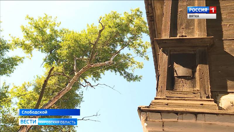 Жители Слободского пожаловались на ветхие тополя