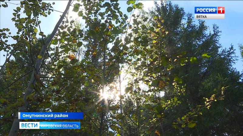 В Белореченске полгода искали мужчину, чьи останки обнаружены у берлоги