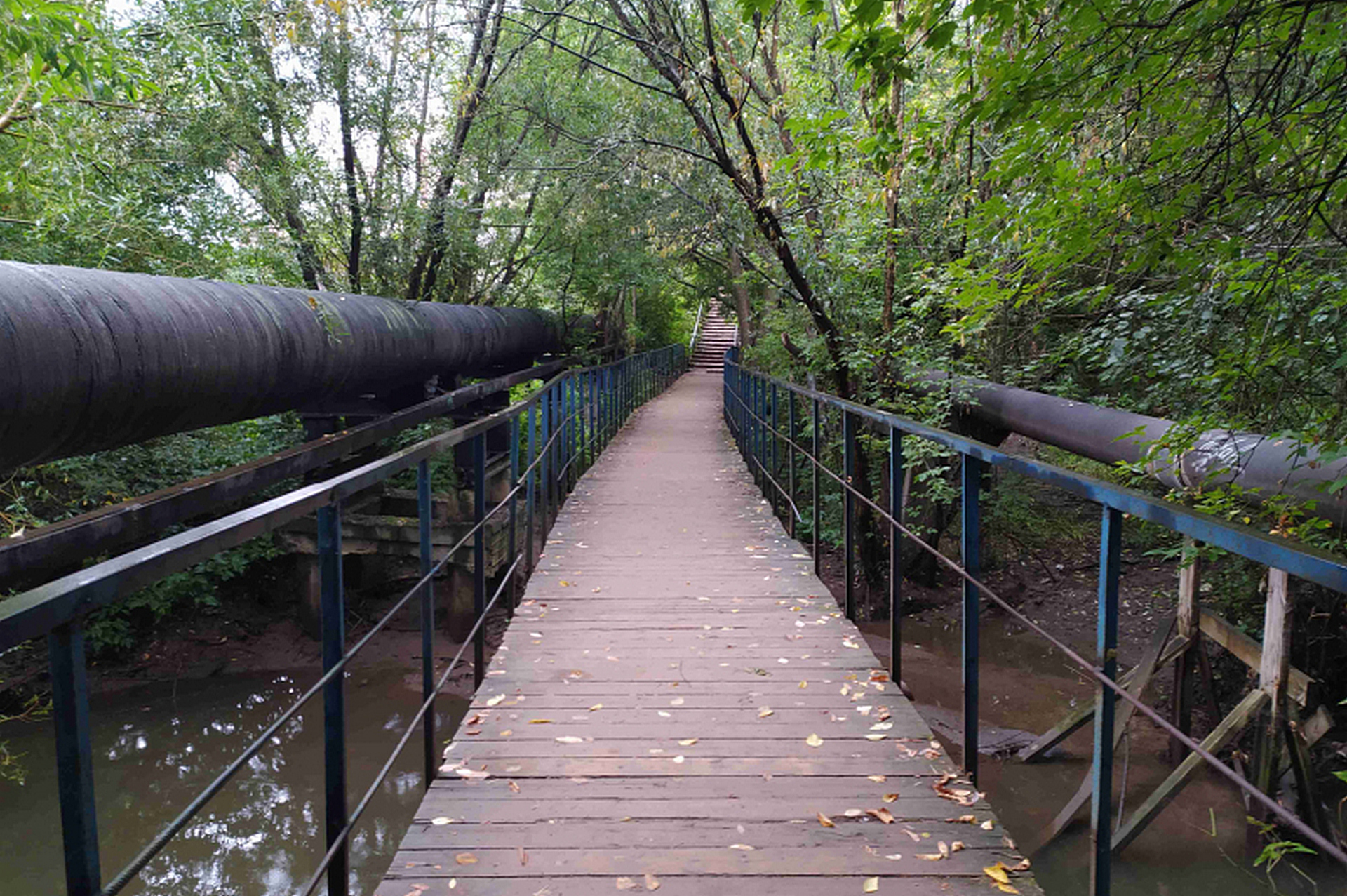 Администрацию Кирова обяжут принять на баланс мост в Зональном