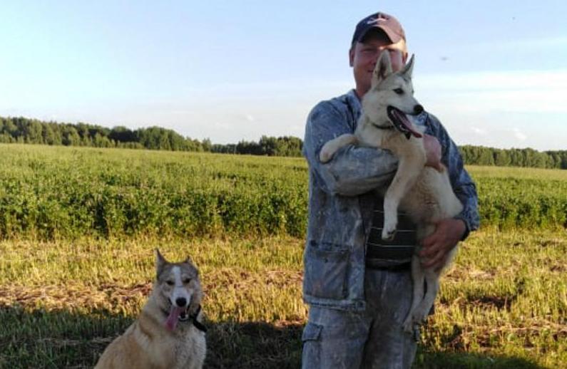 Владелец застреленных собак обжалует приговор депутату Ягдарову