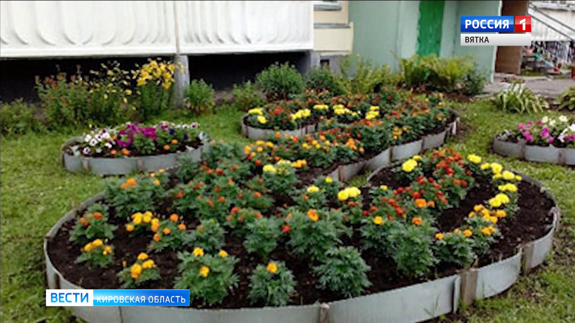 Кировчане могут выбрать победителей конкурса «Цветущий город»