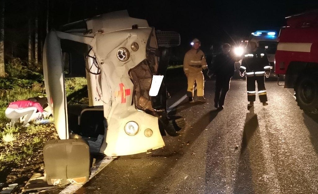 В Кировской области медицинский УАЗ сбил лося