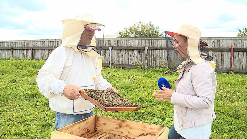 Школа здравого смысла (30.08.2020)