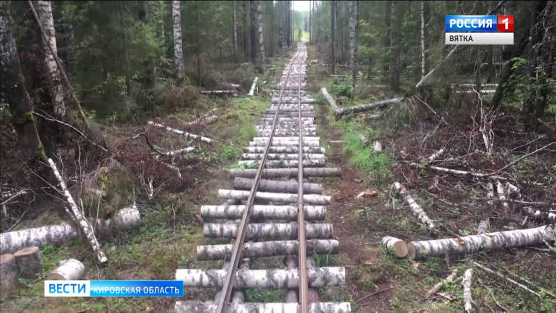 В Опаринском районе узкоколейку проложили на бревнах