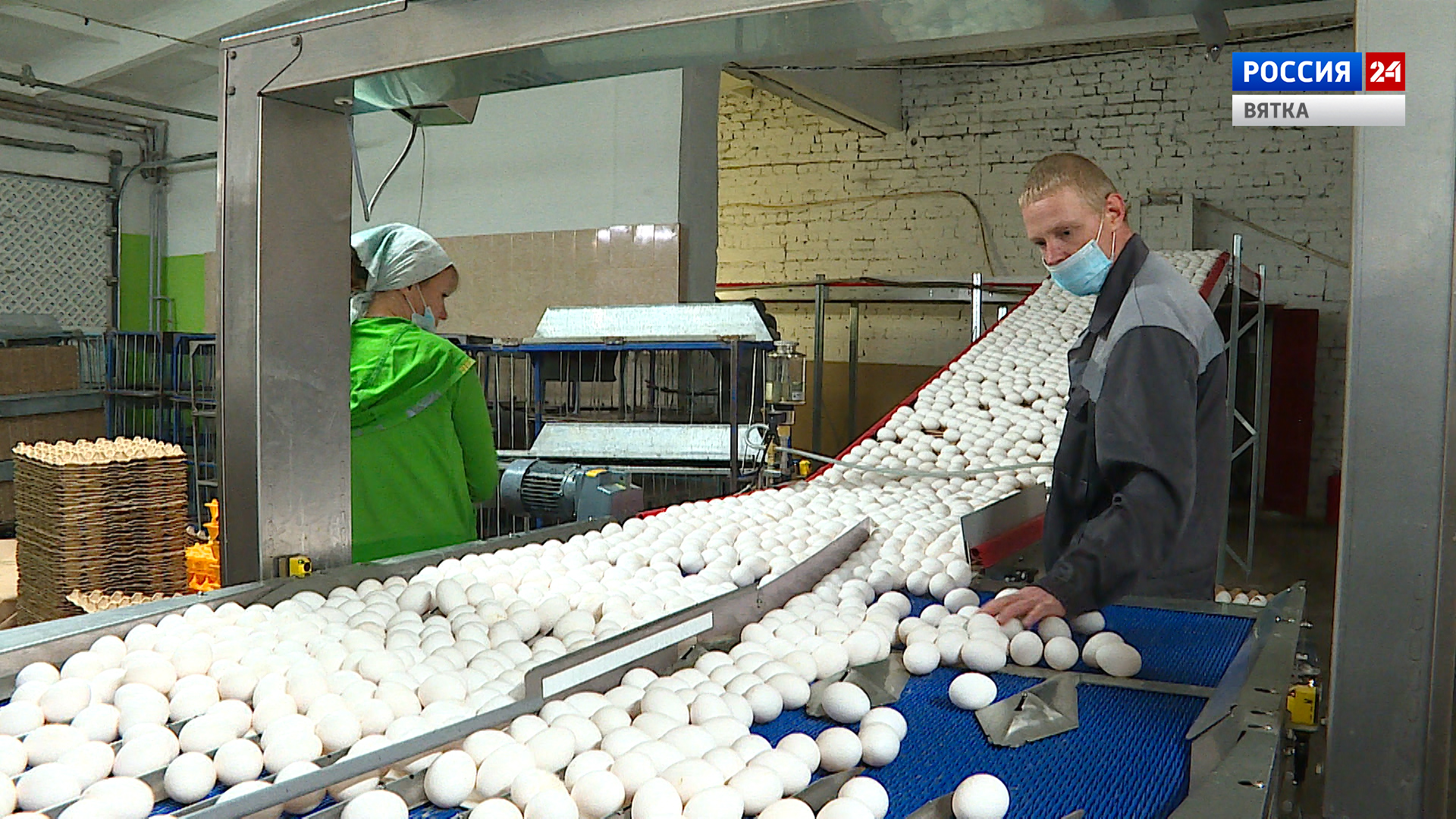 Вести. Агро (22.10.2020)