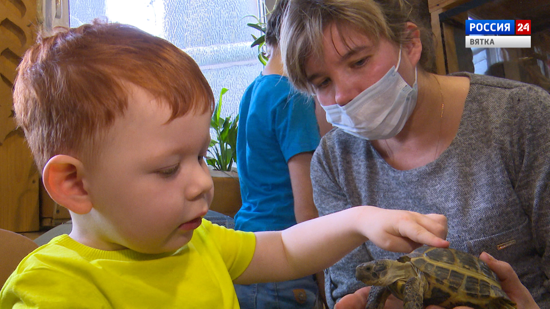 Вести. Киров  (Россия 24) 03.11.2020