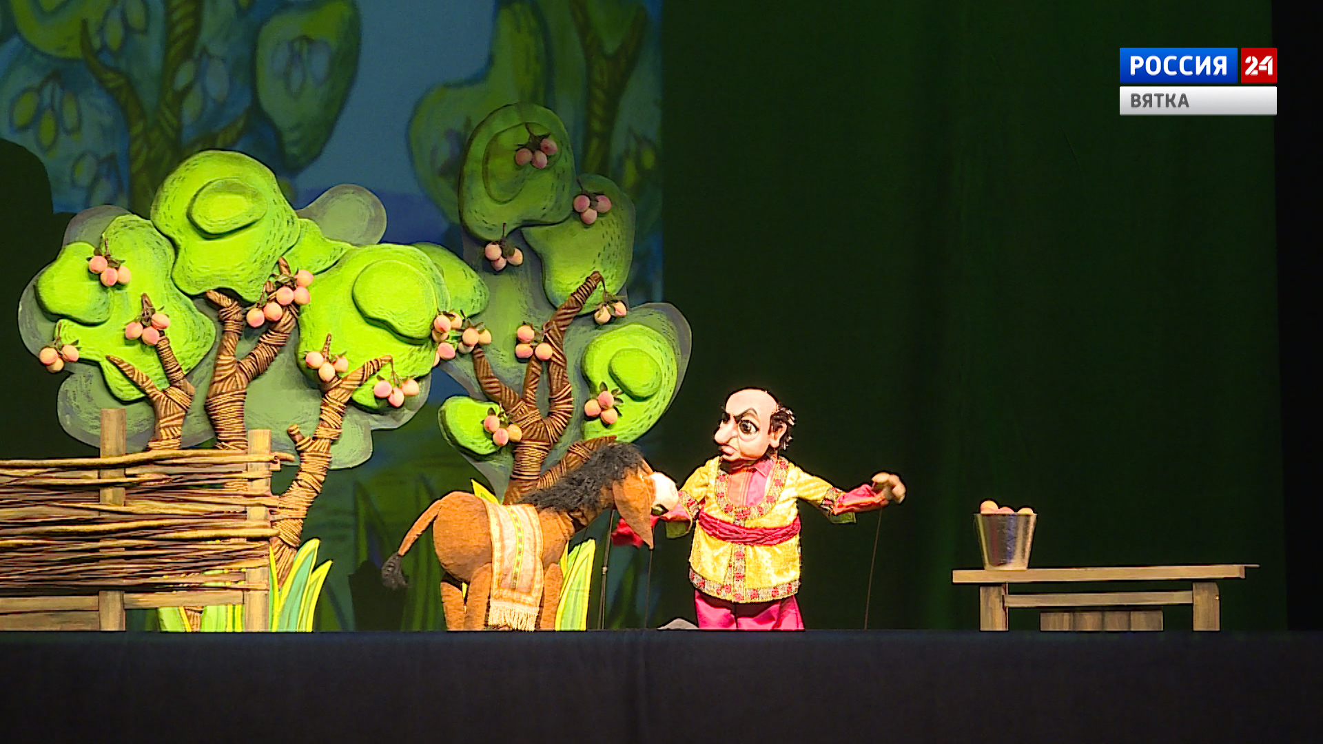 Вести. Киров (Россия 24) 27.11.2020