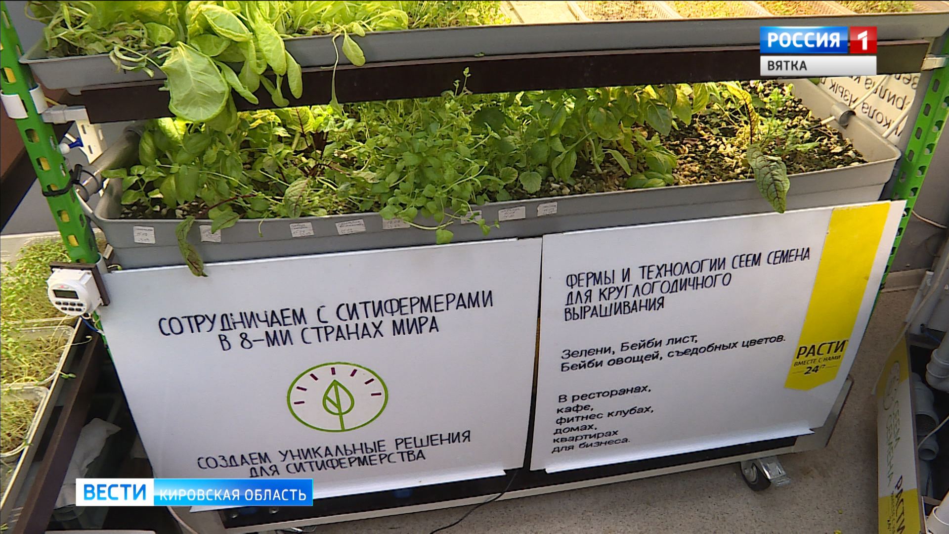 В Кировской области 270 предприятий-экспортеров получили господдержку