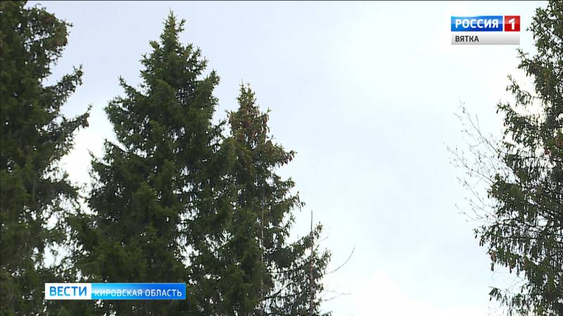 Два несчастных случая на охоте произошли в Котельничском районе