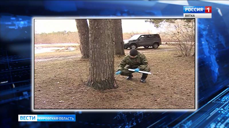 В Куменском районе зарегистрирован случай бешенства