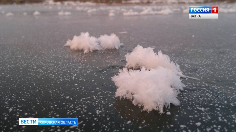 На водоемах Кировской области распустились ледяные цветы