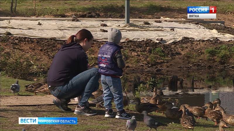 Правительство выделило 62 млрд рублей на выплаты семьям с детьми от 3 до 7 лет