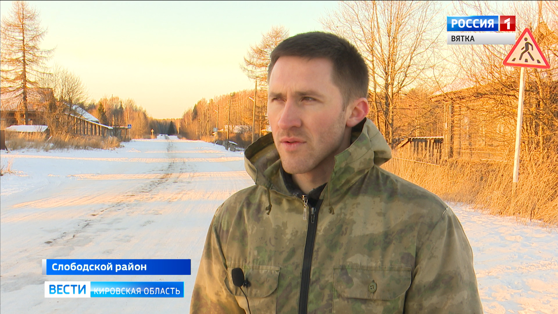 В Слободском стали замечать диких лис