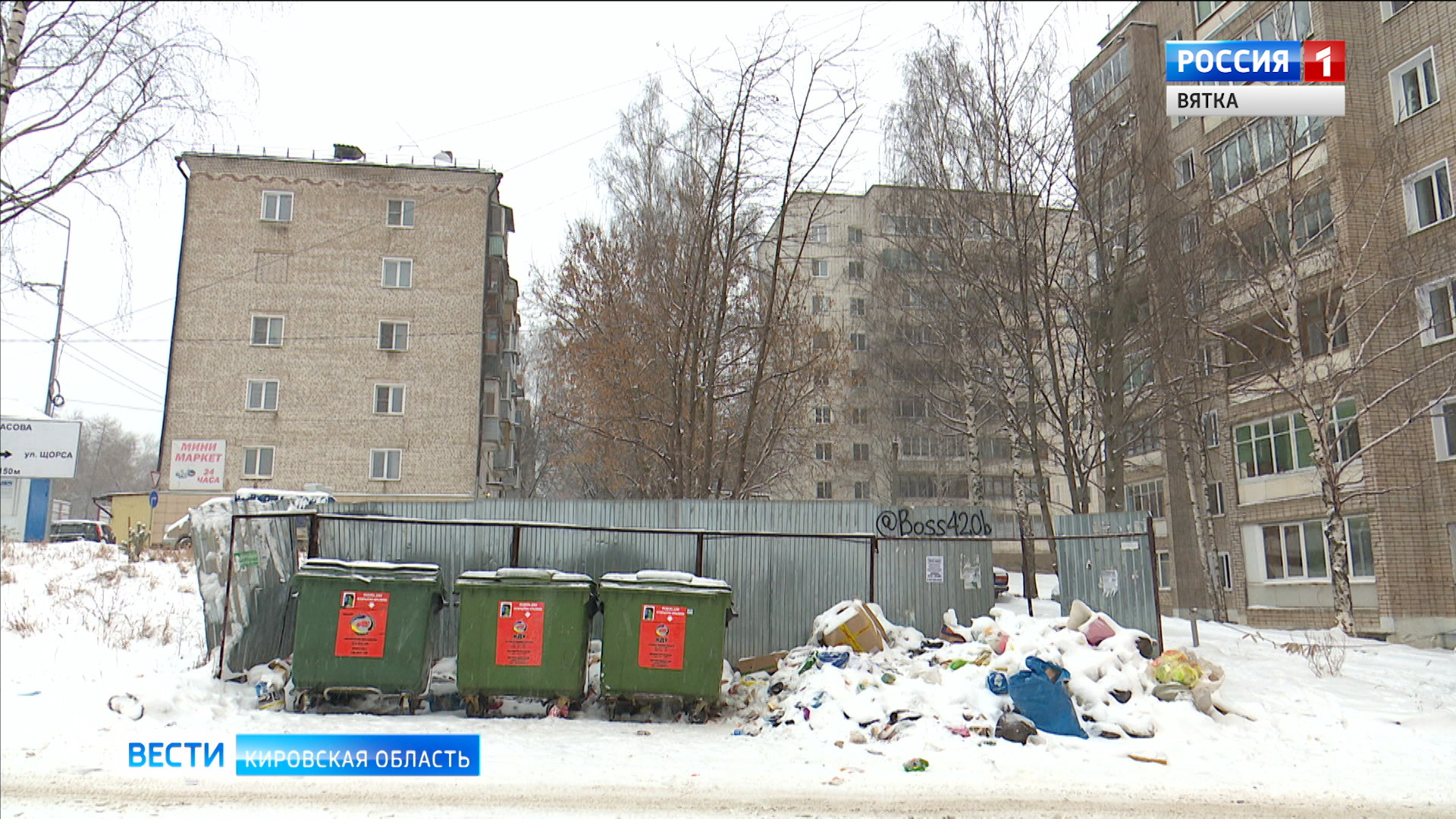 В Кирове на Попова больше месяца не вывозят мусор